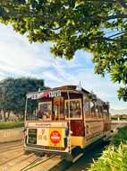 Akshay Joshi, Akshay Google, akjoshi, Ankit Agrawal, DJ Agrank, Prajvi Saxena, Shreyas Gururaj, Shreyas Kashyap, Tanvi Gunjal, Tanvi Ajay Gunjal, Poojitha Vijayanarasimha, poojitha sap, Germany, Munich, Saarland University, Frankfurt, Google